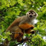 深入了解澳门钻石平台的独特魅力与优势 6f213852