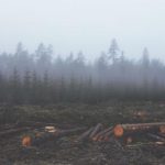 AG真人在线:让你畅享真实赌场的刺激与乐趣 cuvq7x