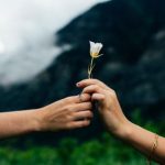 78必发策略:让你在市场波动中稳健获利的实用指南 g3rf3iy