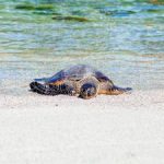 betball网址登录:畅享在线博彩的最佳入口与技巧分享 h76rku65