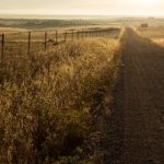 90vs足球比分:实时更新让你不错过每场精彩赛事 j2a21n