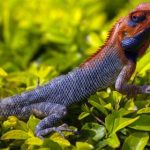 88国际平台的优势与特色,带你体验全新娱乐方式 kzb2f