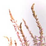 2023年最受欢迎的真钱赌博平台推荐与评测指南 n1phls