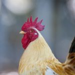 hbs娱乐网址:畅享多样化娱乐与丰厚奖励 p6indcdb